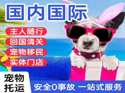 音布鲁克空运国际宠物托运 【国